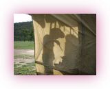 OST-I- (5)1.jpg